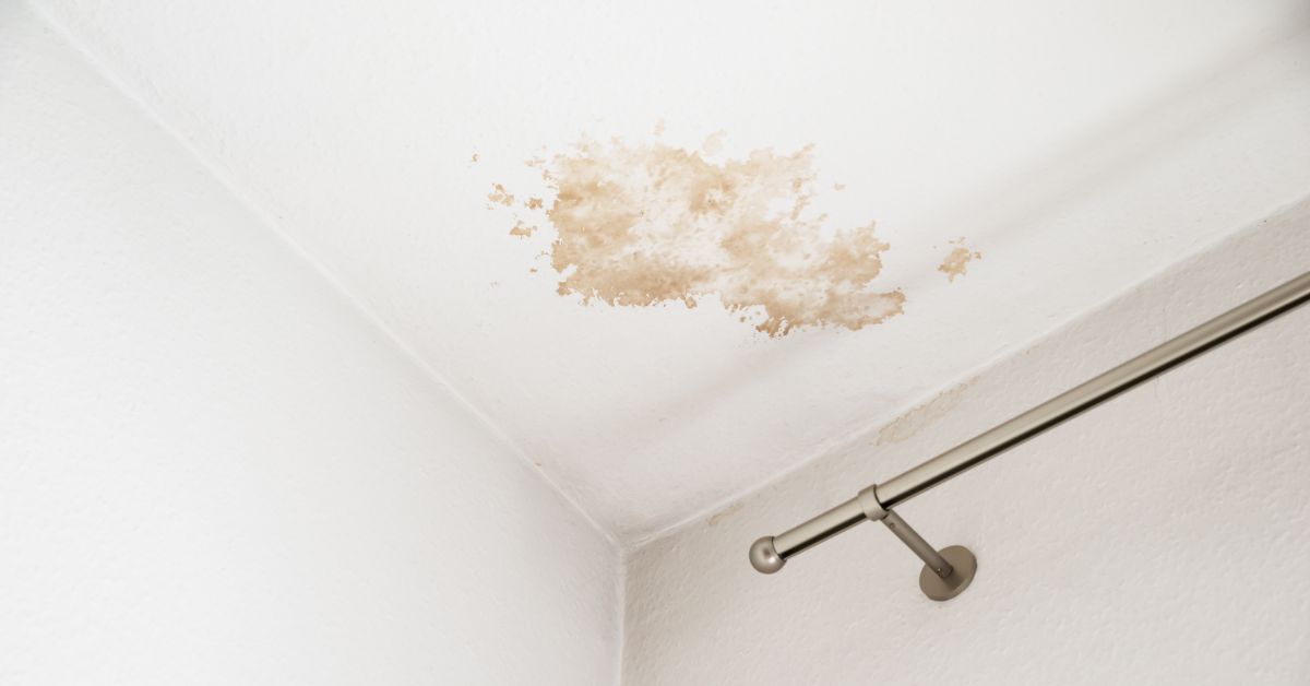 water leak detector - water damage