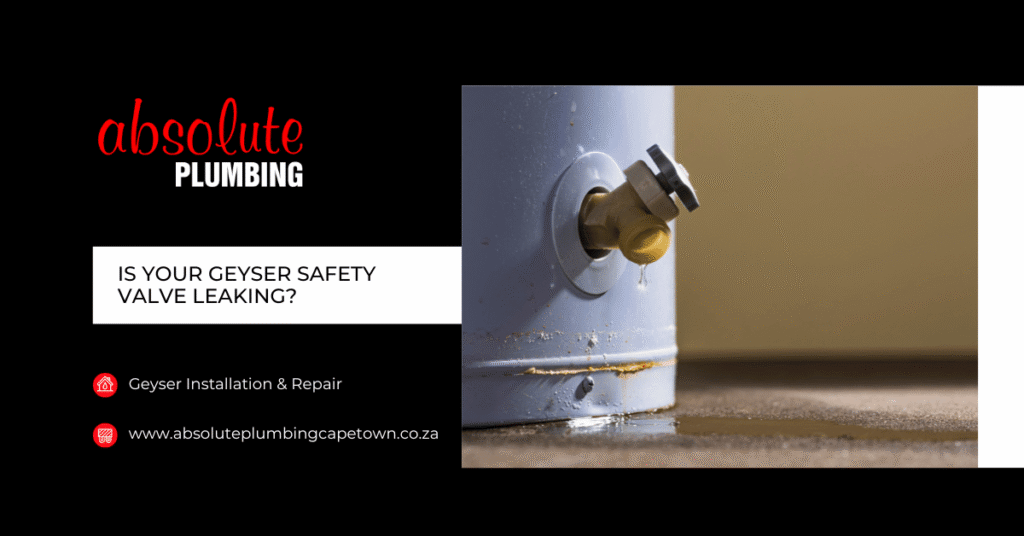 geyser safety valve leaking
