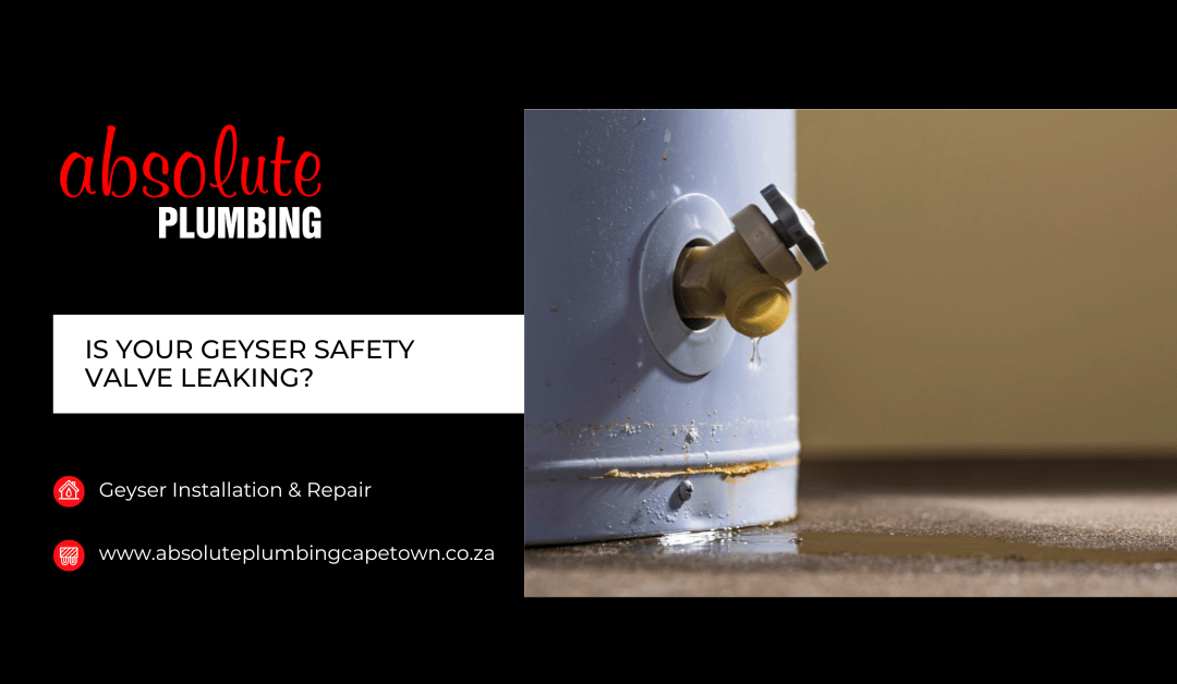 geyser safety valve leaking